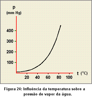 solu24